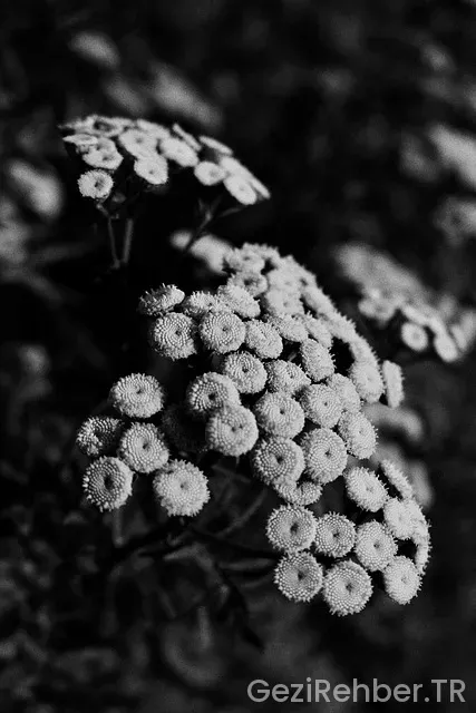 Ets tur rezervasyon bilgileri