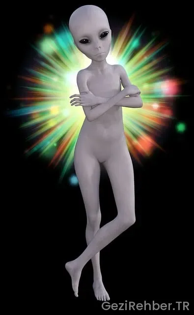 Ets tur şirket bilgileri