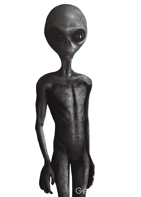 Ets tur şirket bilgileri