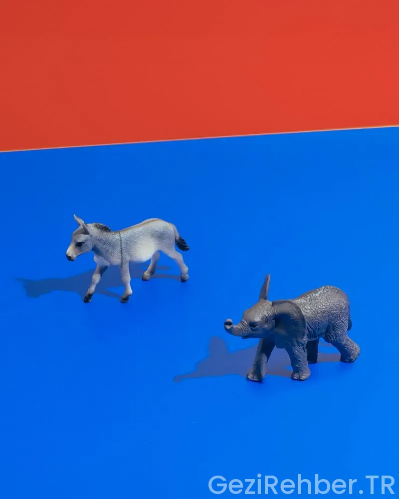 Evcil Hayvanlarla Gezginler için En İyi Destinasyonlar