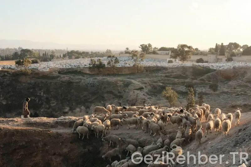 Fethiye’de Gezilecek Yerler