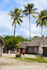 Fiji adalarında yaşam rehberi