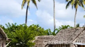 Fiji adalarında yaşam rehberi