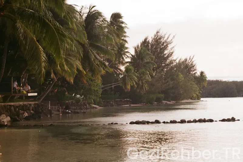 Fiji adalarında yaşam rehberi