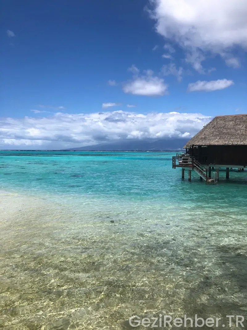 Fiji adası gezi rehberi