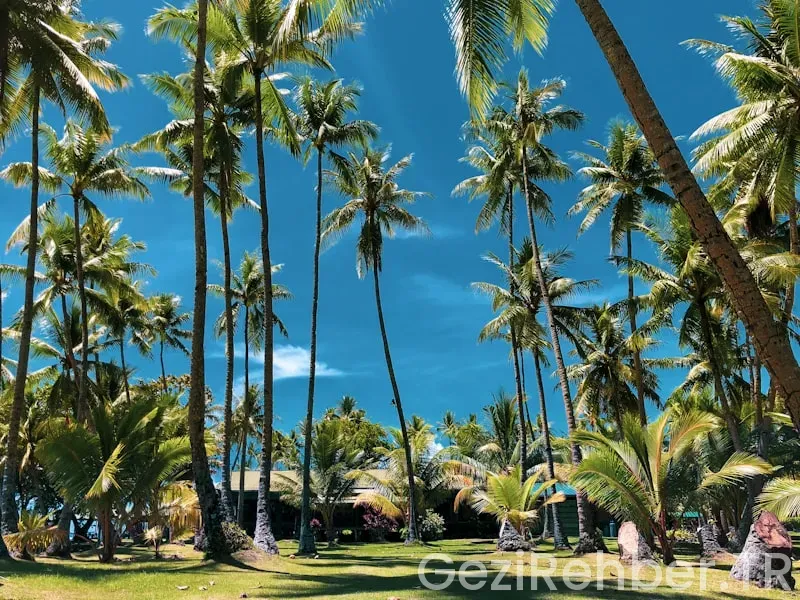 Fiji adası tatil rehberi