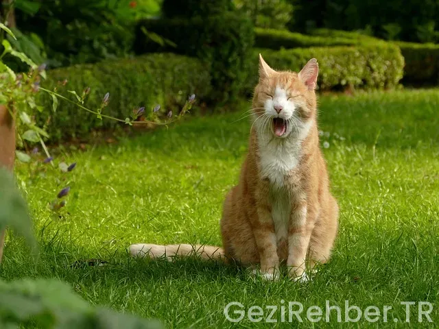 Filipin uçakla kaç saat Filipin uçakla kaç saat