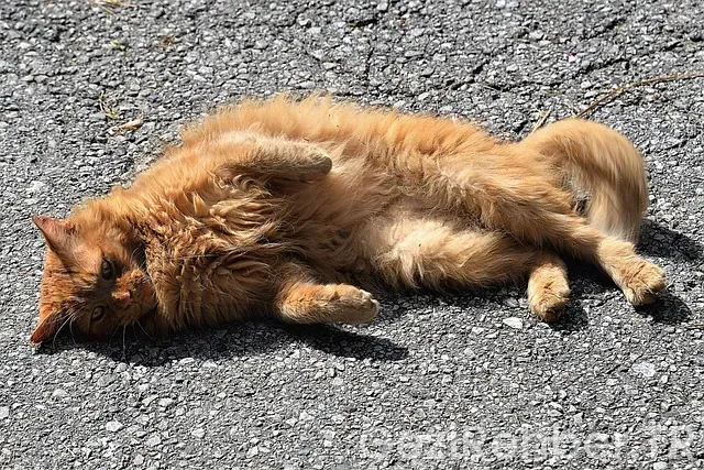 Filipin uçakla kaç saat Filipin uçakla kaç saat