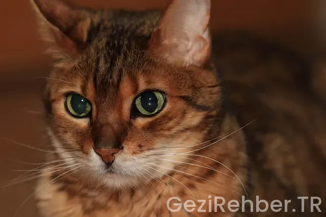 Filipin uçakla kaç saat Filipin uçakla kaç saat