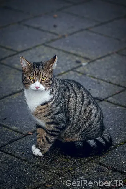 Filipin uçakla kaç saat Filipin uçakla kaç saat