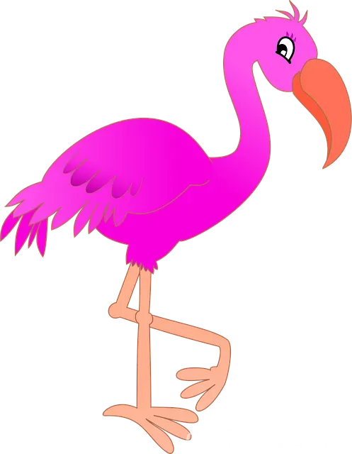 Flamingo Köy Menü