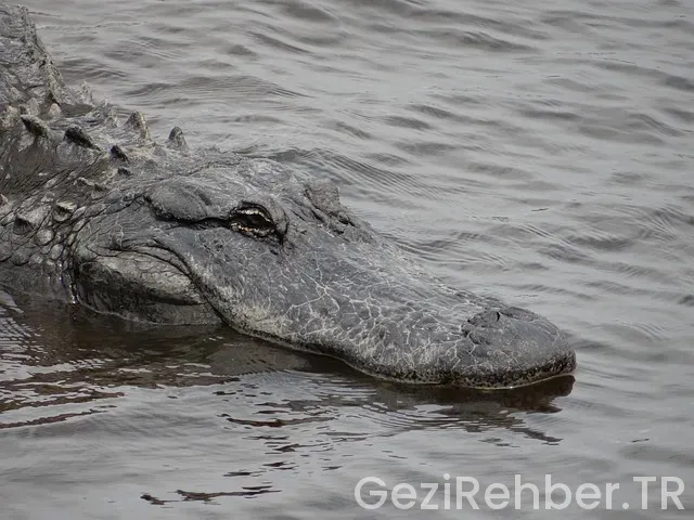 Florida uçakla kaç saat