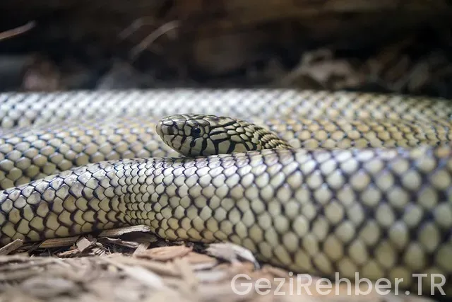 Florida uçakla kaç saat