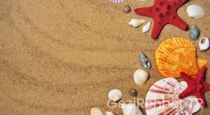 Fransa bisiklet turu