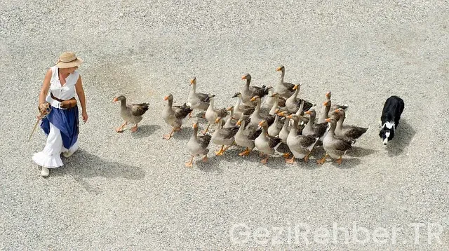 Fransa Gezi Bölgeler
