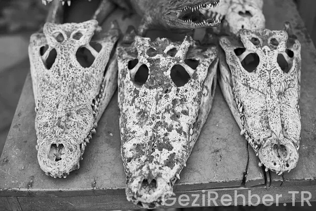 Fransa gezi rehberi ingilizce