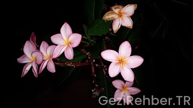 Fransa ucakla kaç saat sürer