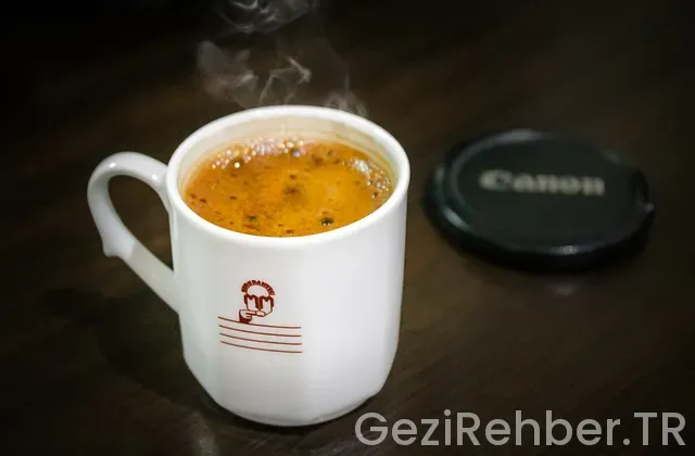 Fransa'da türk rehber