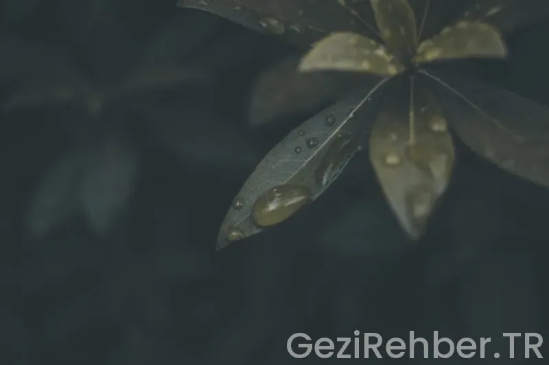 Gaziantep’te Ne Yenir Nerede Yenir? Gaziantep’te Ne Yenir Nerede Yenir?