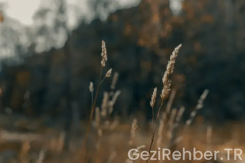 Gaziantep’te Ne Yenir Nerede Yenir? Gaziantep’te Ne Yenir Nerede Yenir?