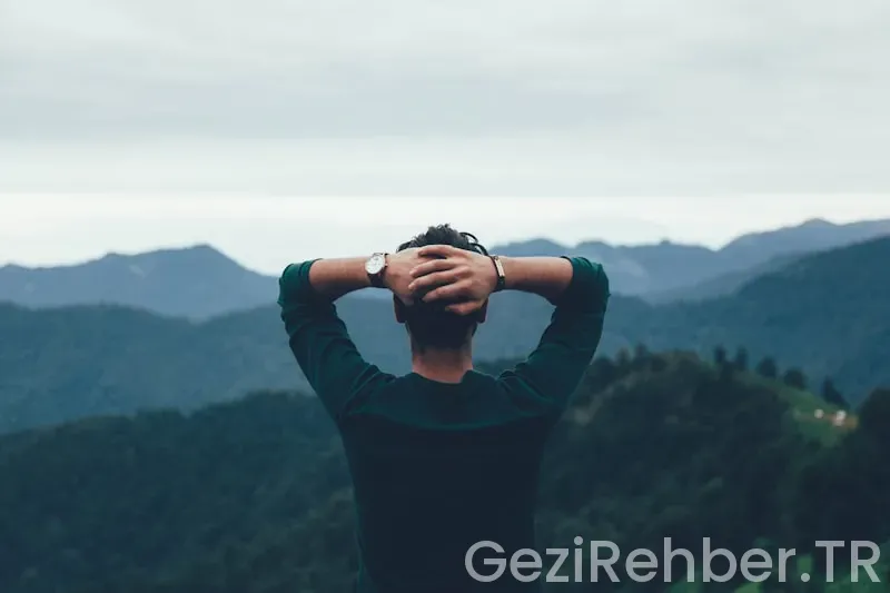 Gezi Ekspresi Nedir?