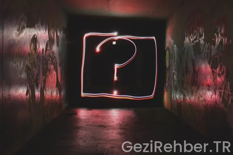 Gezi Ekspresi Nedir?