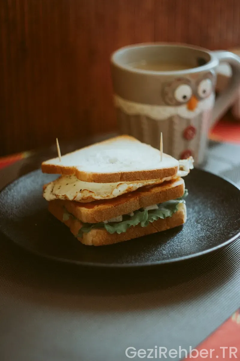 Gezi İçin Soğuk Sandviçler Nasıl Hazırlanır?