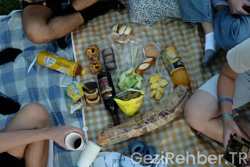 Gezi Turları İçin Piknik Önerileri Gezi Turları İçin Piknik Önerileri