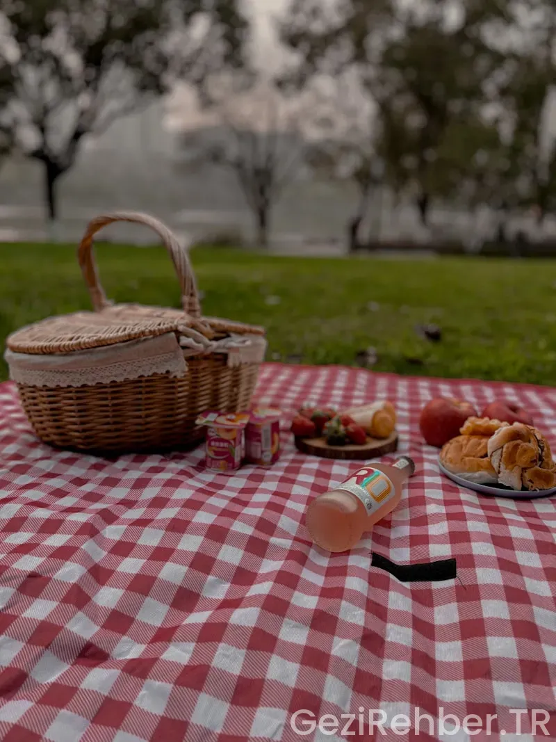 Gezi Turları İçin Piknik Önerileri Gezi Turları İçin Piknik Önerileri
