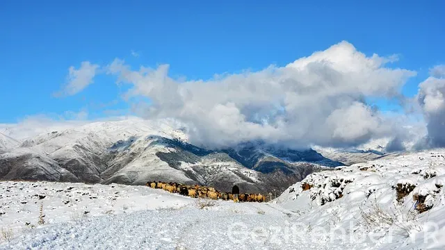 Gezi Turları Karadeniz