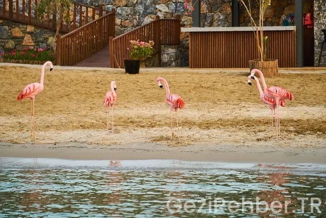 Gezi Turları Mersin