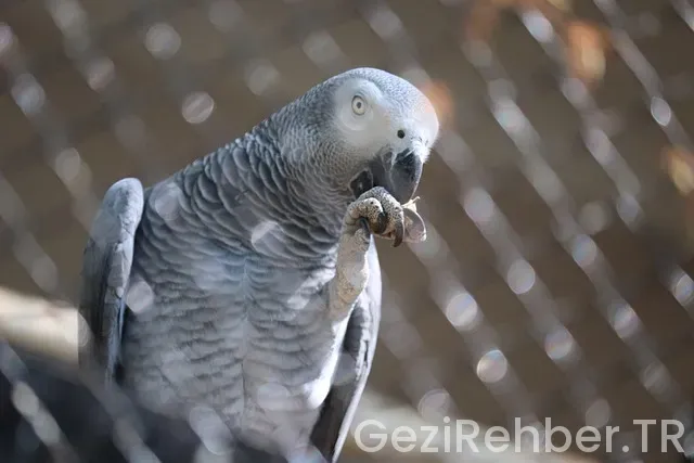 Gezi Turları Sakarya