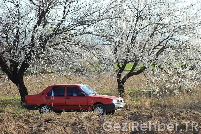 Gezi Turları Yurtiçi