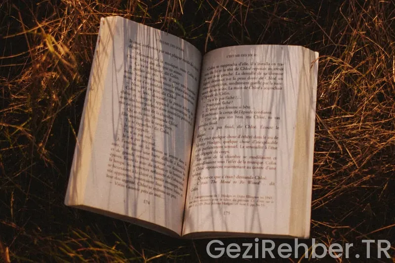 Gezi Yazısı Nedir? Gezi Yazısı Nedir?