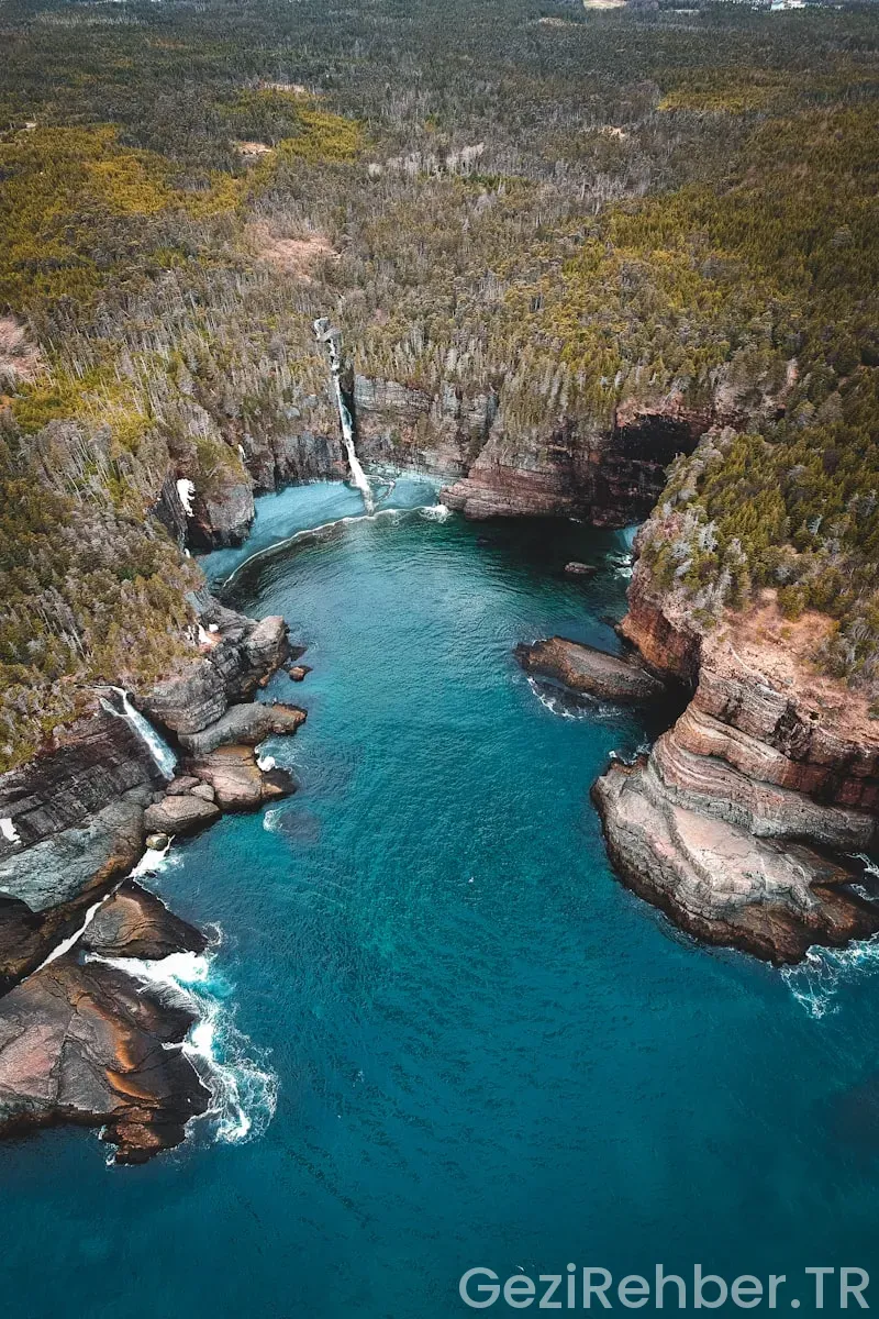 Gezimanya avustralya Gezimanya avustralya