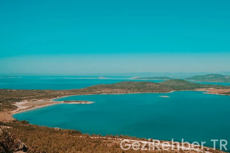 Gezimanya avustralya Gezimanya avustralya