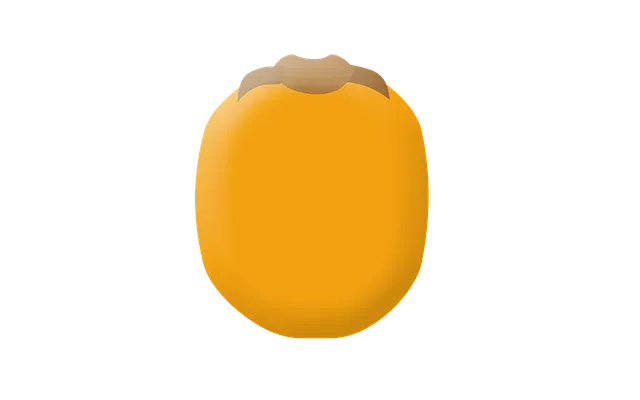 Gine uçakla kaç saat Gine uçakla kaç saat