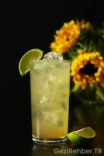 Gine uçakla kaç saat Gine uçakla kaç saat