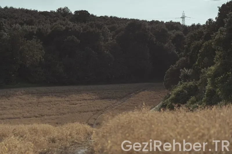 Giresun’da Gezilecek Yerler