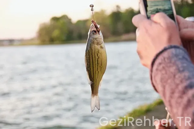 Gökçeada kamp yerleri