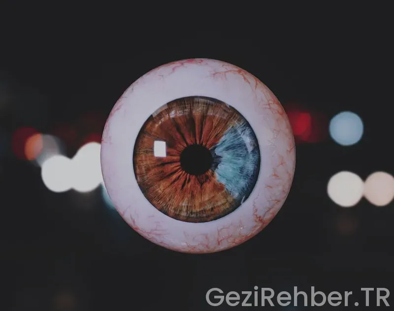 Göz Alıcı Olduğu Kanıtlanmış Dünyanın En Güzel Yerleri