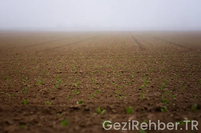Grönland uçakla kaç saat