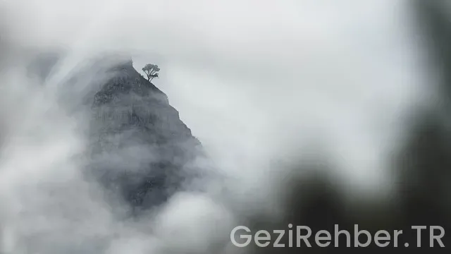 Güney Doğu Anadolu Bölgei El Sanatları