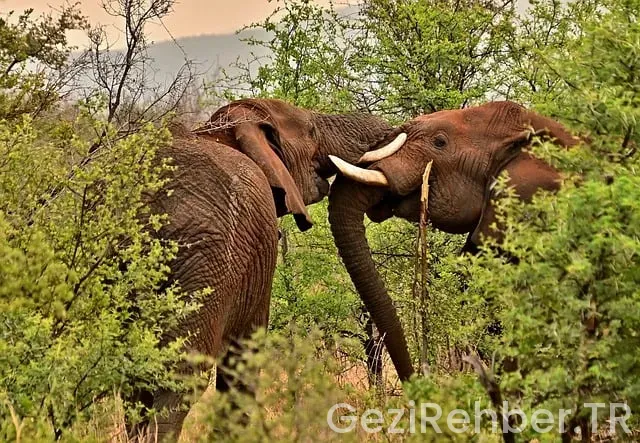 Güney Doğu Anadolu Bölgesi Coğrafya Dünyası