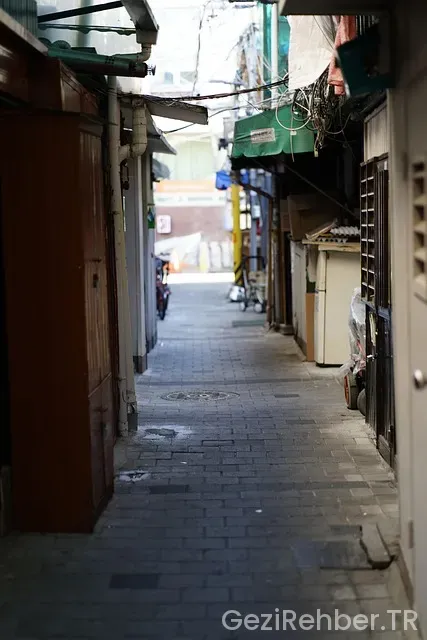 Güney Kore Gezi Rehberi