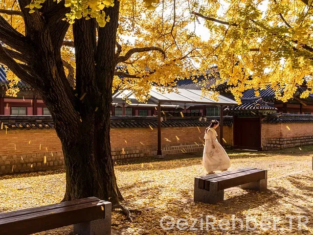 Güney marmara gezi rotası