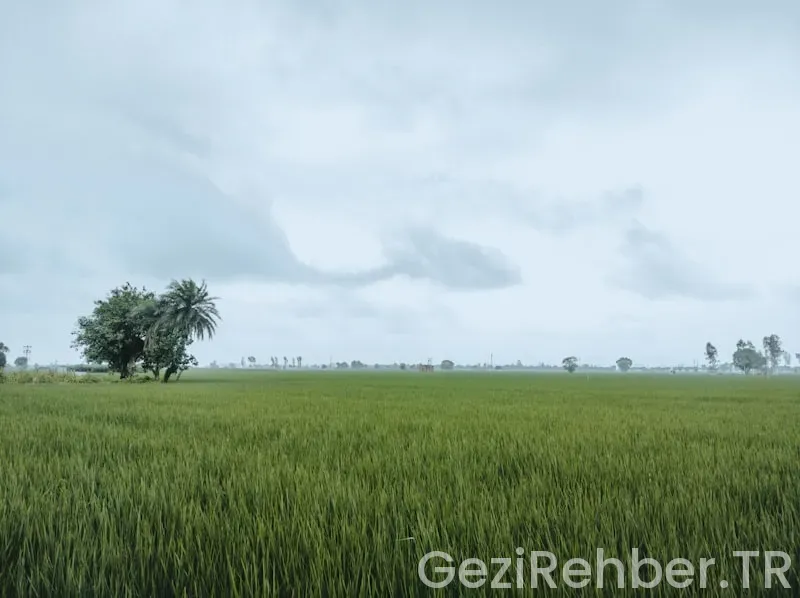 Güneydoğu anadolunun turistik yerleri