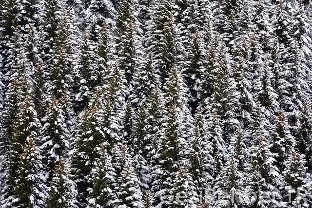 Gürcistan gezi rehberi