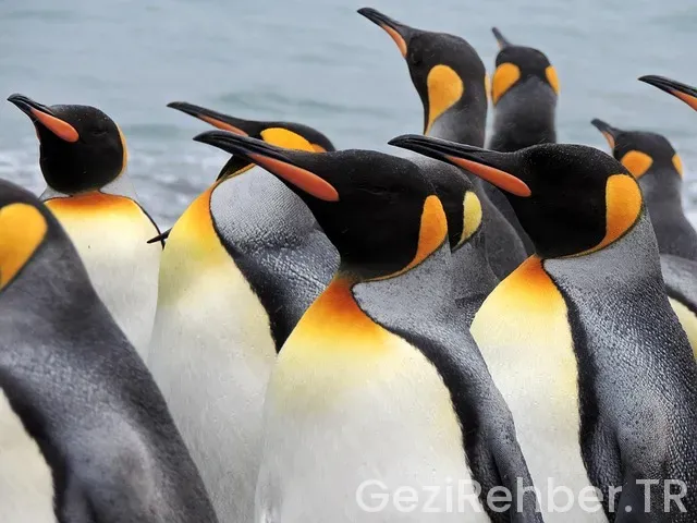 Gürcistan gezi tur fiyatları