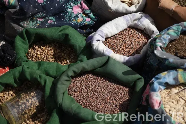 Gürcistan Gezi Turu